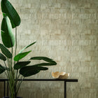34304 Capas Selva Wallpaper by Arte