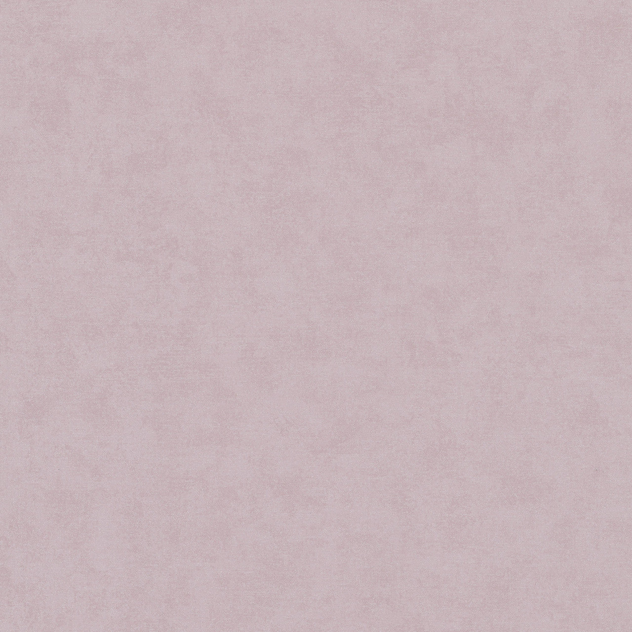 34422 Plain Texture Flora Rose Wallpaper By Galerie