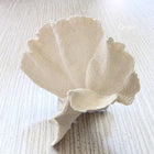 345-347400 Bamboo Identity Wallpaper by Today Interiors