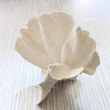 345-347400 Bamboo Identity Wallpaper by Today Interiors