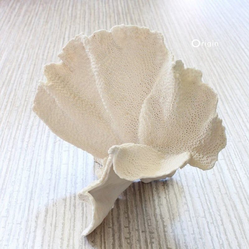 345-347400 Bamboo Identity Wallpaper by Today Interiors