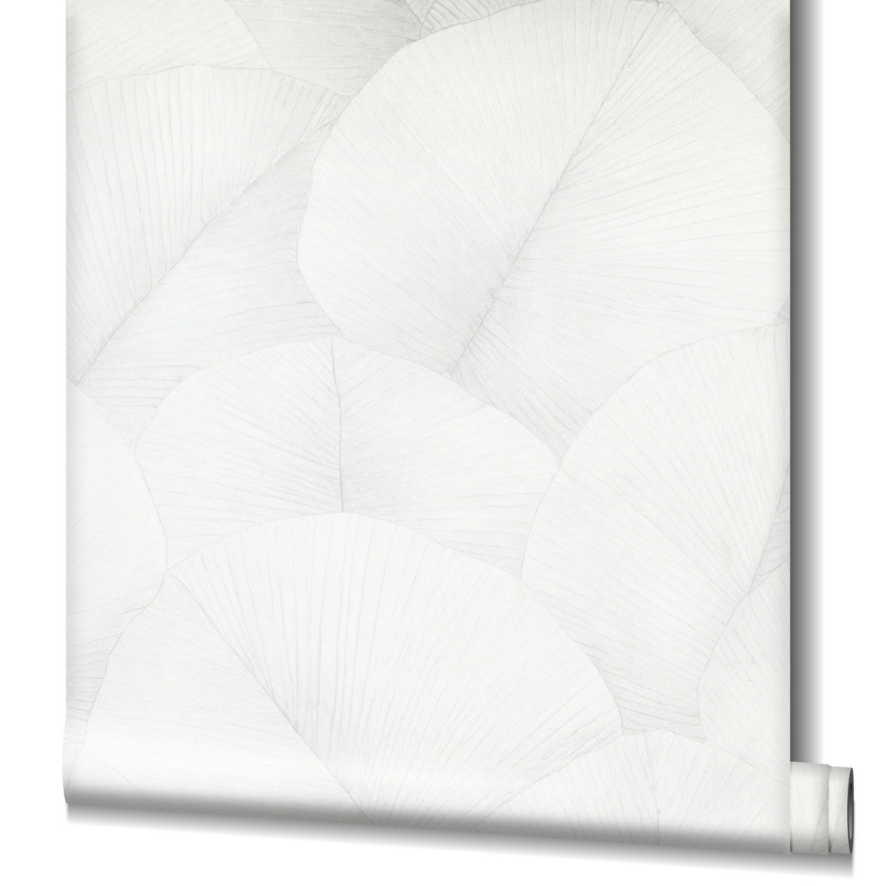 34507 Palm Leaf Kumano Wallpaper By Galerie