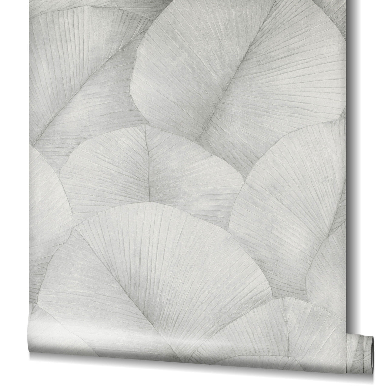 34509 Palm Leaf Kumano Wallpaper By Galerie