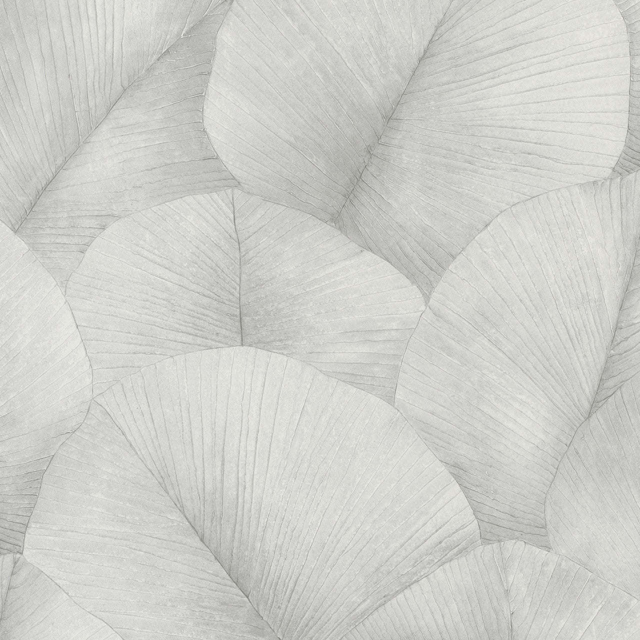 34509 Palm Leaf Kumano Wallpaper By Galerie