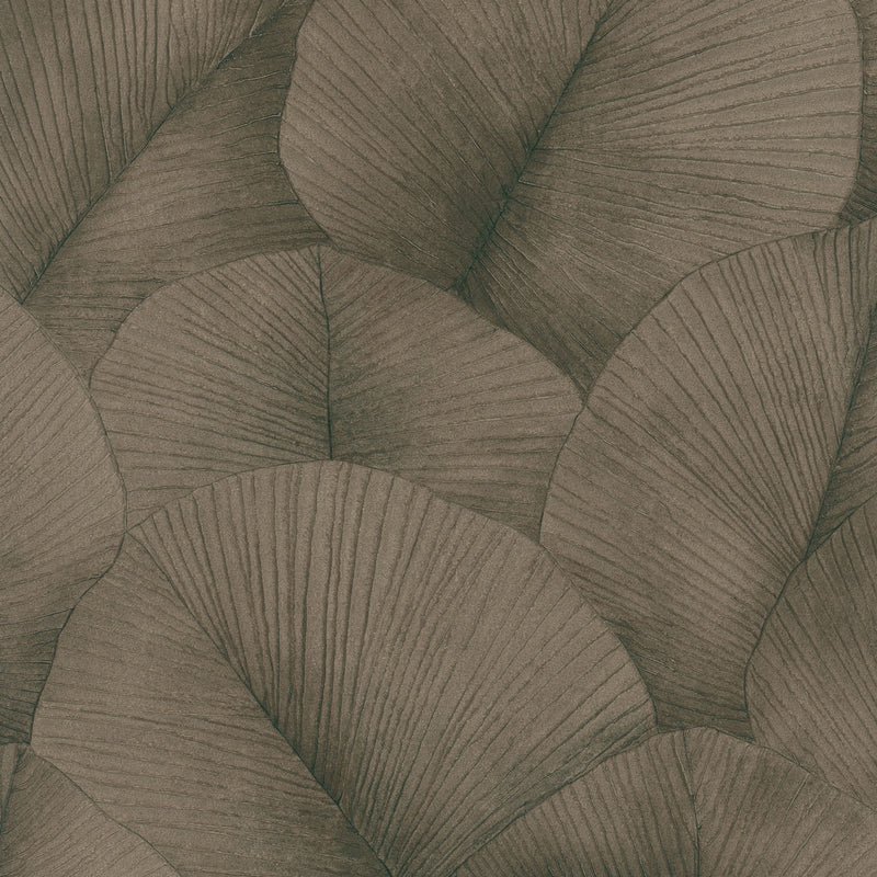 34513 Palm Leaf Kumano Wallpaper By Galerie