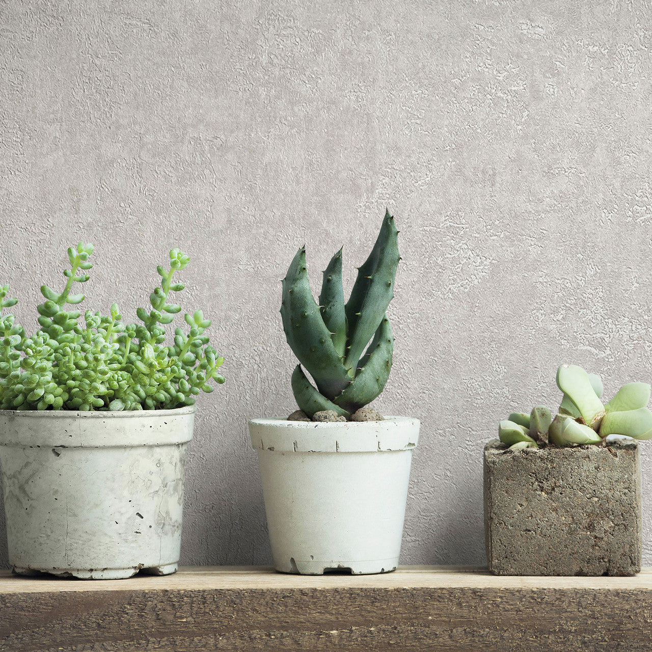 34518 Plaster Kumano Wallpaper By Galerie