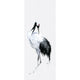 Painted Crane Mural Kumano Wallpaper By Galerie