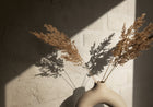 34611 Wallpaper 003 Beige Wallpaper by Galerie