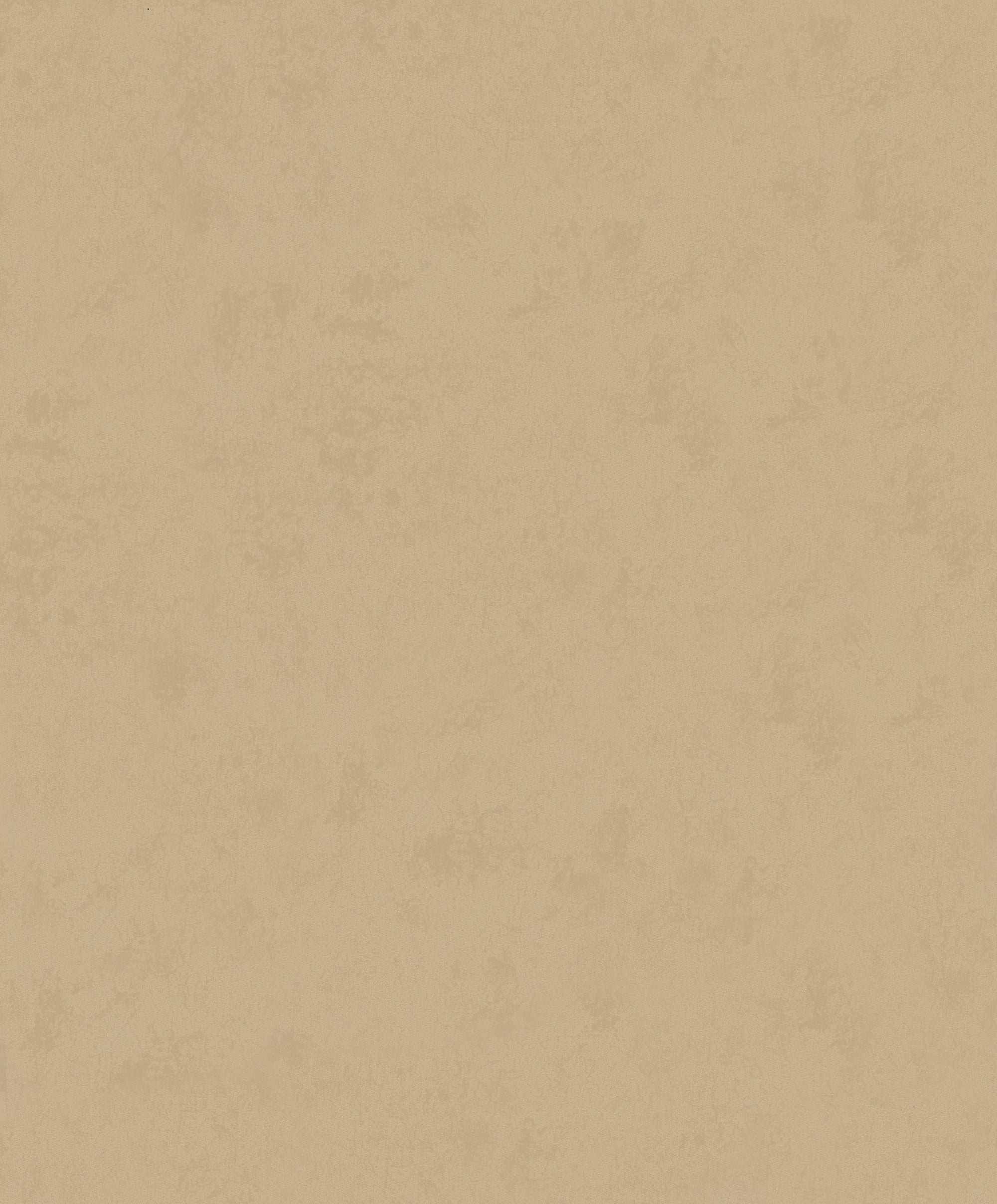 34630 Wallpaper 002 Beige Wallpaper by Galerie