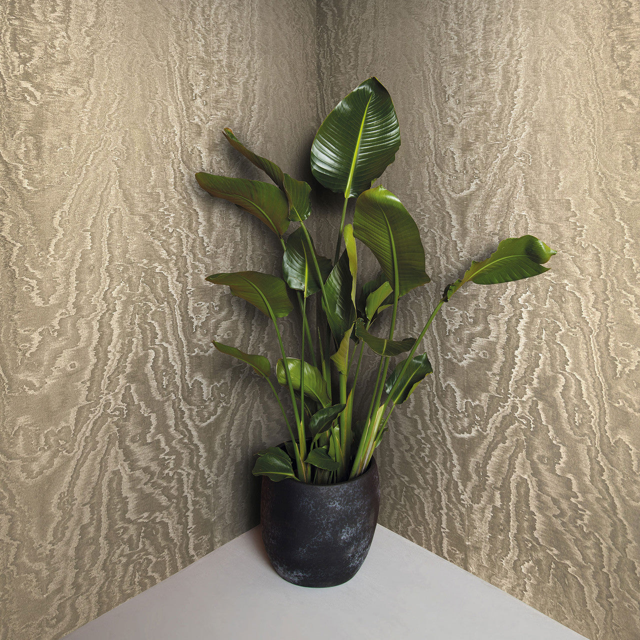 34922 Eclectic Wallpaper By Galerie