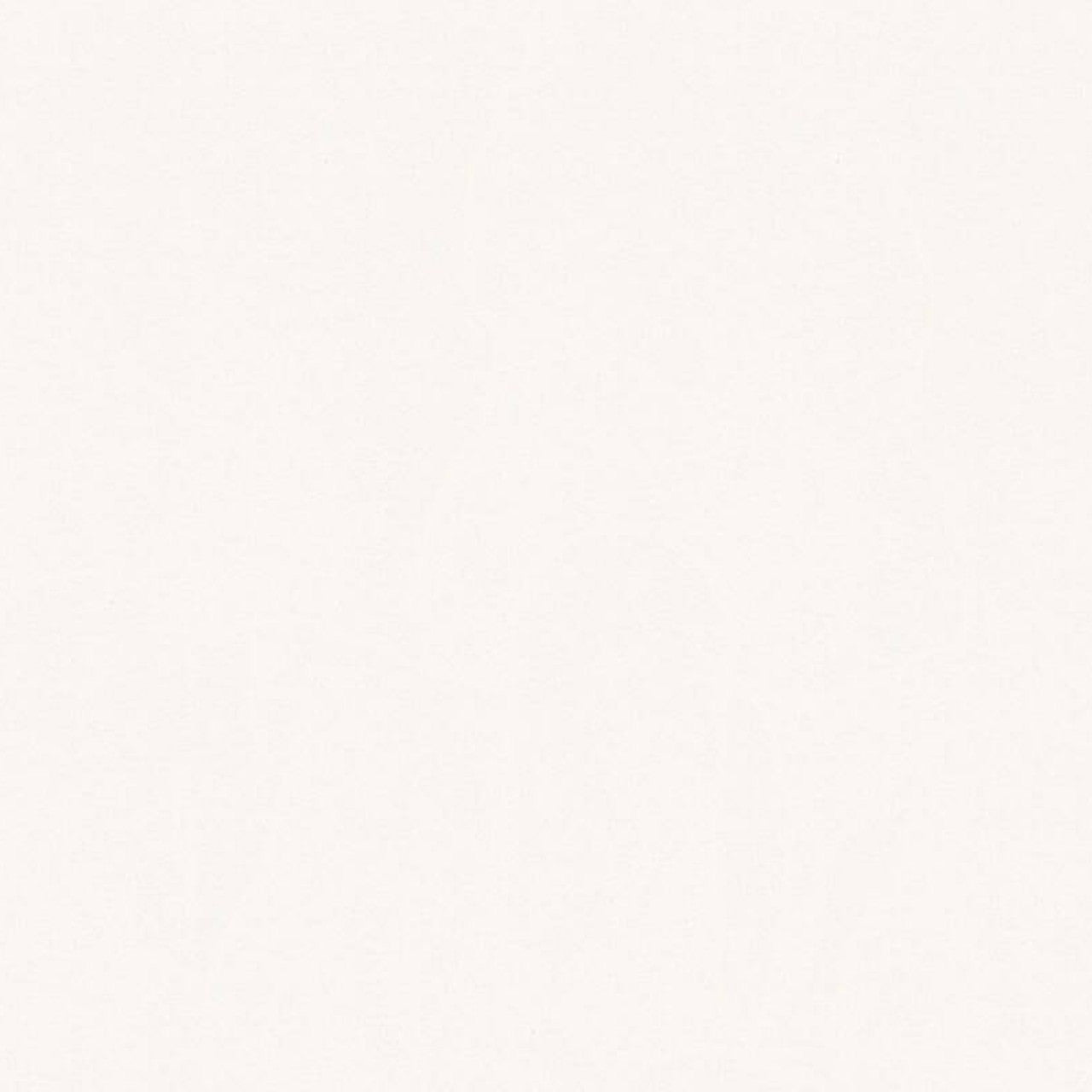 34932-3 Styleguide Colours 2024 Wallpaper by A S Creation