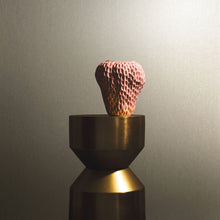 34948 Eclectic Wallpaper By Galerie