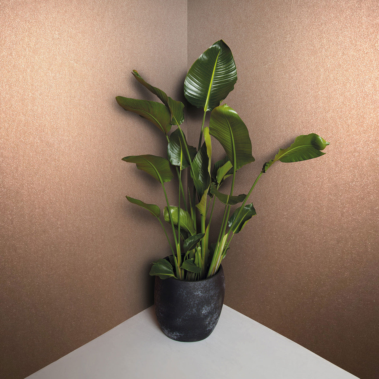 34949 Eclectic Wallpaper By Galerie