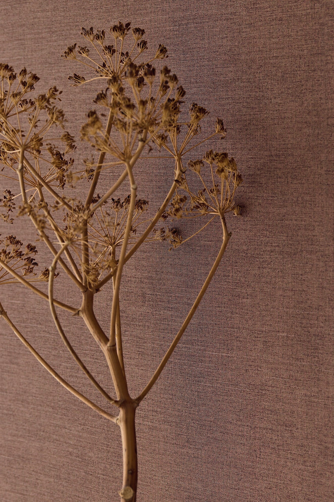 350592 Rustic Plain Orange/Terracotta Wallpaper by Eijffinger