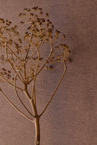 350592 Rustic Plain Orange/Terracotta Wallpaper by Eijffinger