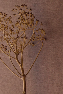 350592 Rustic Plain Orange/Terracotta Wallpaper by Eijffinger