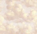 Cumulus Pink Magnifique Mural by Eijffinger