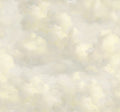 Cumulus Beige Magnifique Mural by Eijffinger