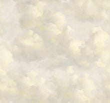 351282 Cumulus Cream Mural by Eijffinger