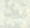 Cumulus Grey Magnifique Mural by Eijffinger