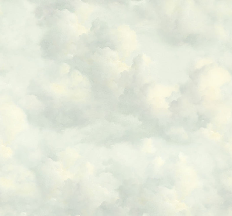 351283 Cumulus Grey Mural by Eijffinger
