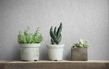 35137 Concrete look Silver Grey City Romance Wallpaper by Galerie
