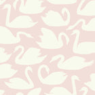 352-347708 Swans Precious Wallpaper by Today Interiors