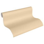 35316-0 Styleguide Colours 2024 Wallpaper by A S Creation