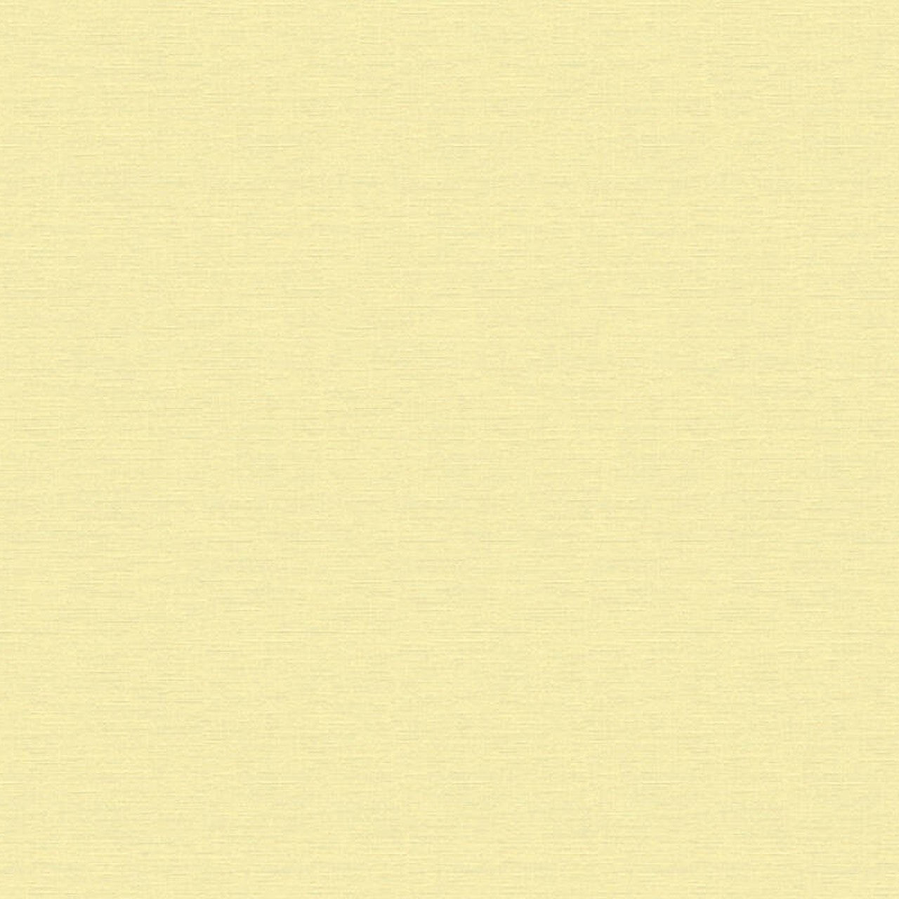 Style Guide Colours 2024 Wallpaper by A S Creation