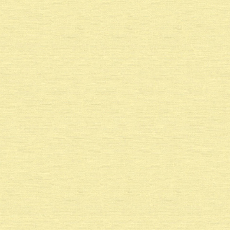 Style Guide Colours 2024 Wallpaper by A S Creation