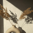 35522 Uni Beige Wallpaper by Galerie