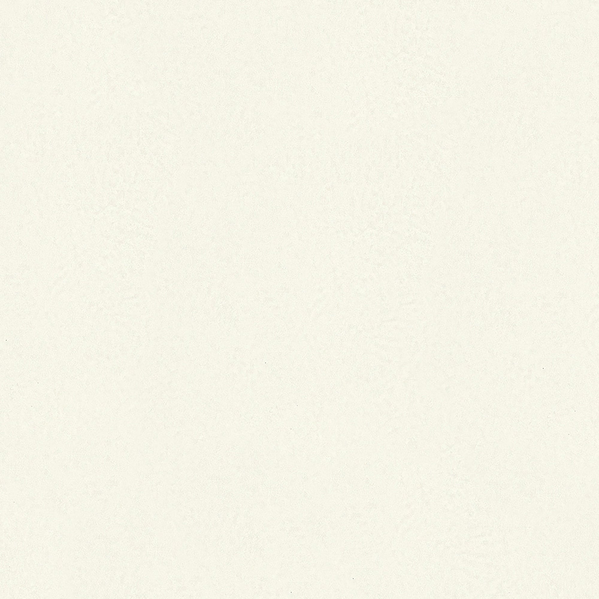 35546 Plaster look White Wallpaper by Galerie