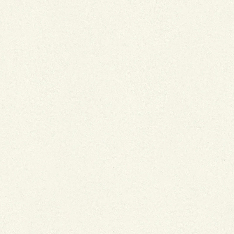 35546 Plaster look White Wallpaper by Galerie