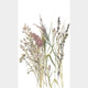 Floral White, Beige & Green Boho Fine Linen Mural by Galerie