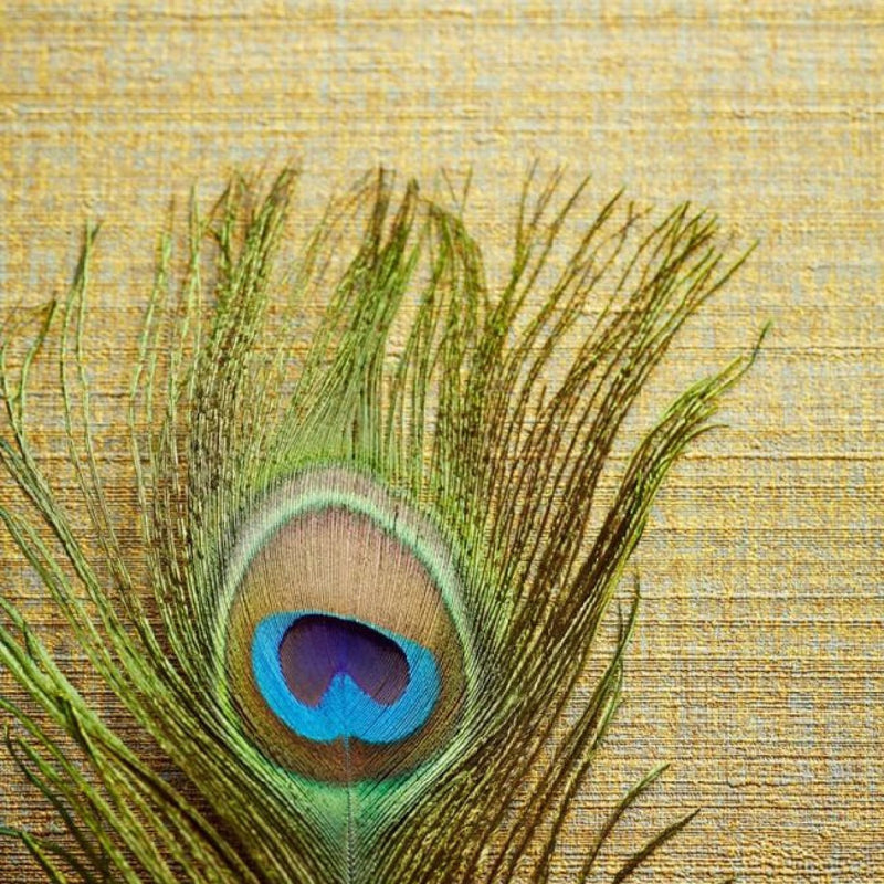 358050 Static Masterpiece Wallpaper By Eijffinger