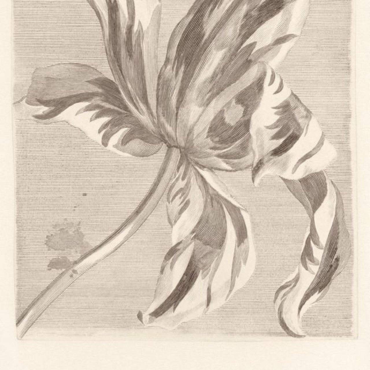 358117 Painterly Masterpiece Wallpaper By Eijffinger