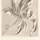 358117 Painterly Masterpiece Wallpaper By Eijffinger