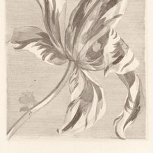 358117 Painterly Masterpiece Wallpaper By Eijffinger