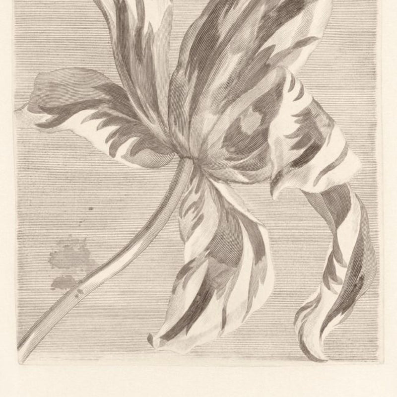 358117 Painterly Masterpiece Wallpaper By Eijffinger