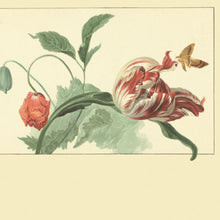 358118 Garden Postcard Masterpiece Wallpaper By Eijffinger