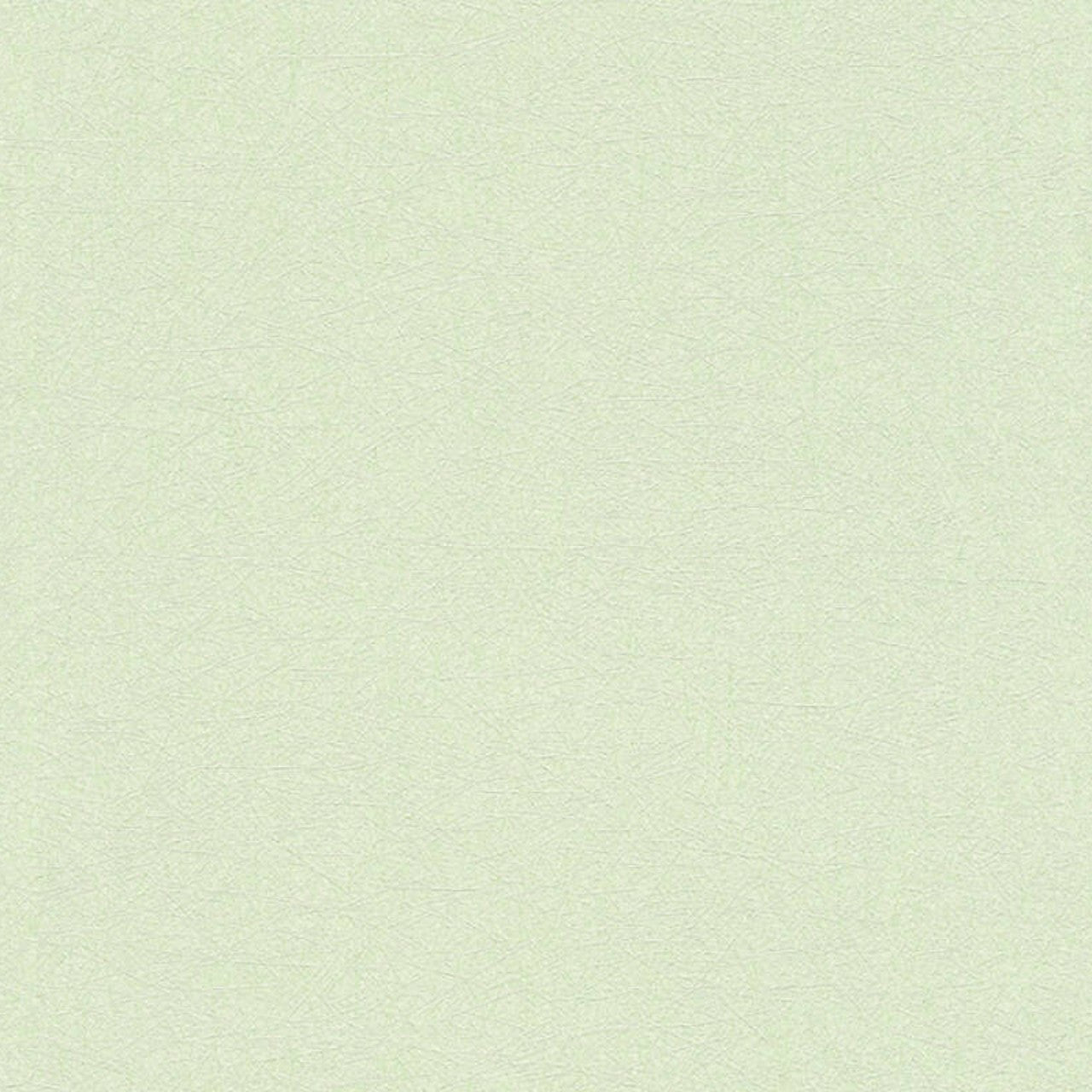 35866-2 Styleguide Colours 2024 Wallpaper by A S Creation