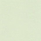 35866-2 Styleguide Colours 2024 Wallpaper by A S Creation