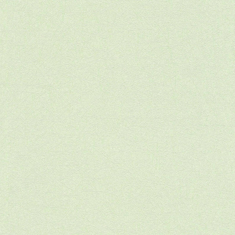 35866-2 Styleguide Colours 2024 Wallpaper by A S Creation