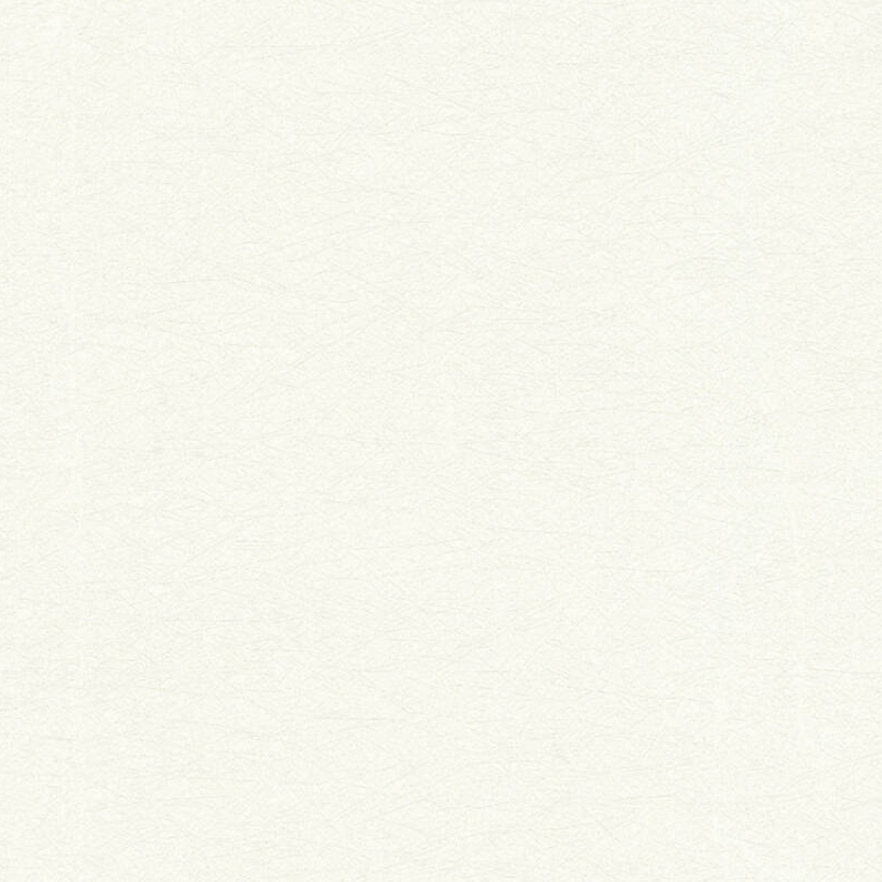 35866-3 Styleguide Colours 2024 Wallpaper by A S Creation