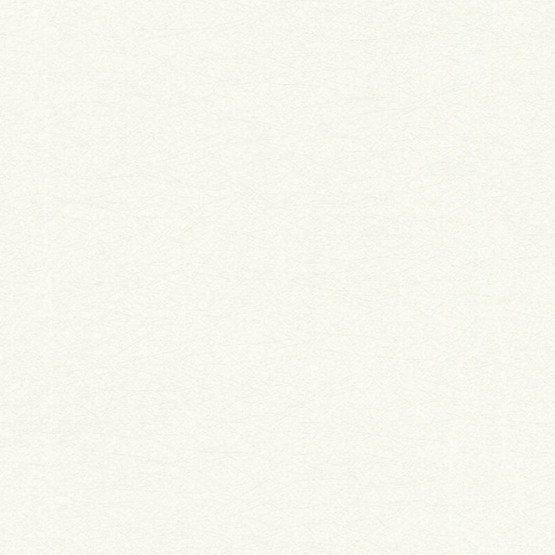 35866-3 Styleguide Colours 2024 Wallpaper by A S Creation