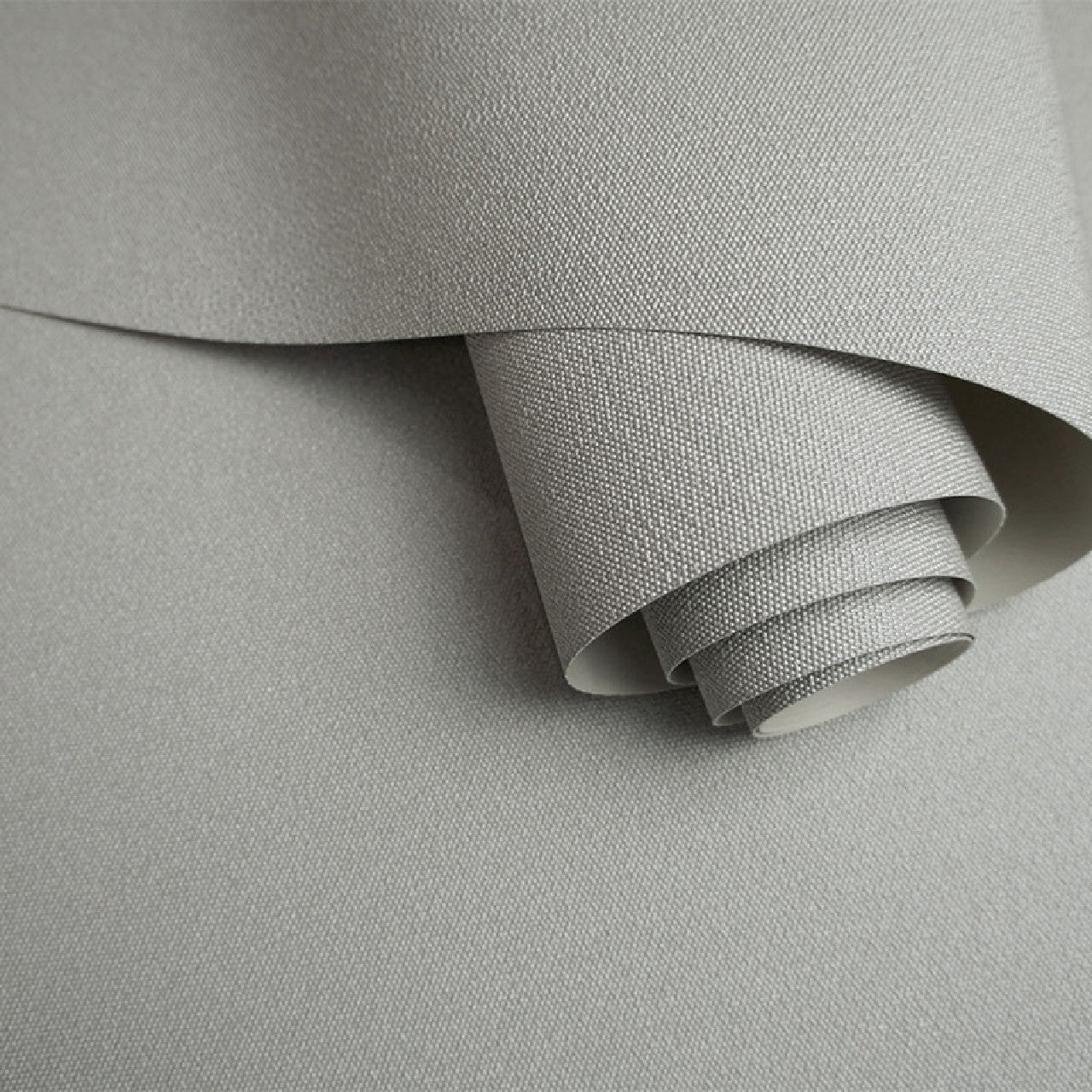 36031 Allora Grey Texture Alocasia Opus Wallpaper By Holden DŽcor