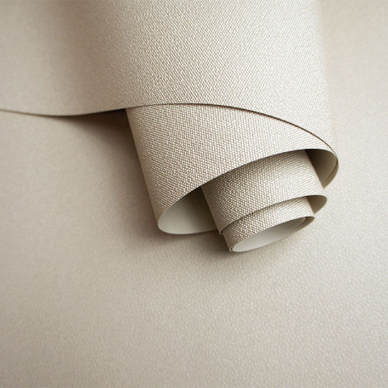 36032 Allora Cream Texture Alocasia Opus Wallpaper By Holden DŽcor