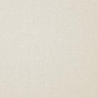 36032 Allora Cream Texture Alocasia Opus Wallpaper By Holden DŽcor