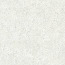 36207-3 Styleguide Colours 2024 Wallpaper by A S Creation