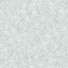 36207-6 Styleguide Colours 2024 Wallpaper by A S Creation